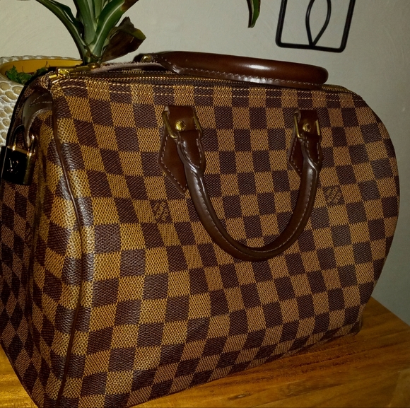 Louis Vuitton Handbags - Louis Vuitton Speedy 30 Damier Ebene Bag